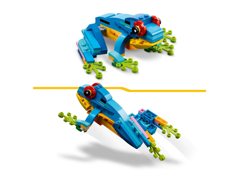 Exotische papegaai - 31136