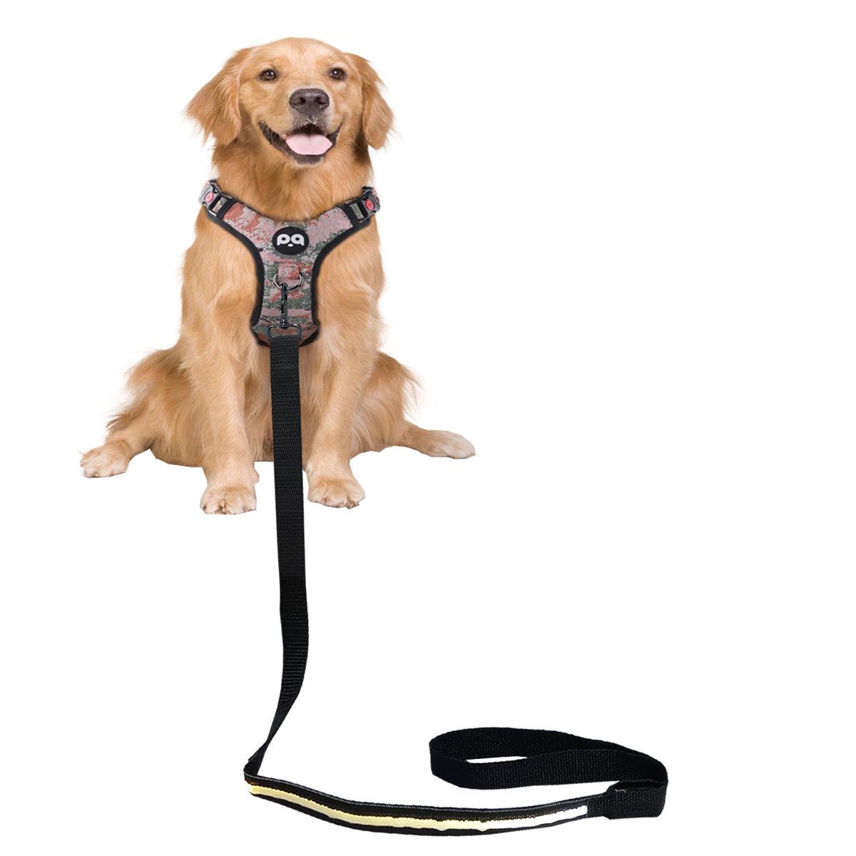 (110cm) LED Nylon Hunde Leine USB Hundeleine mit 3 Leucht Modi   Handschlaufe - Schwarz