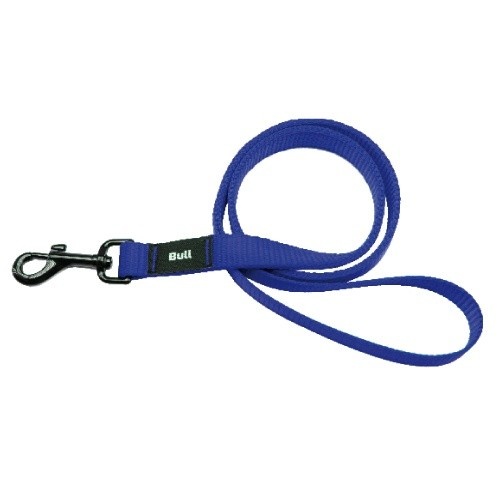 Guia de nylon simples para cães, azul