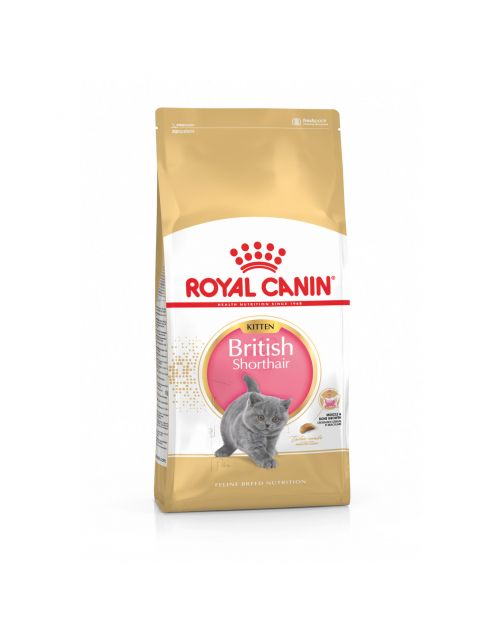 Royal Canin British Shorthair Kitten - Kitten-Kattenvoer