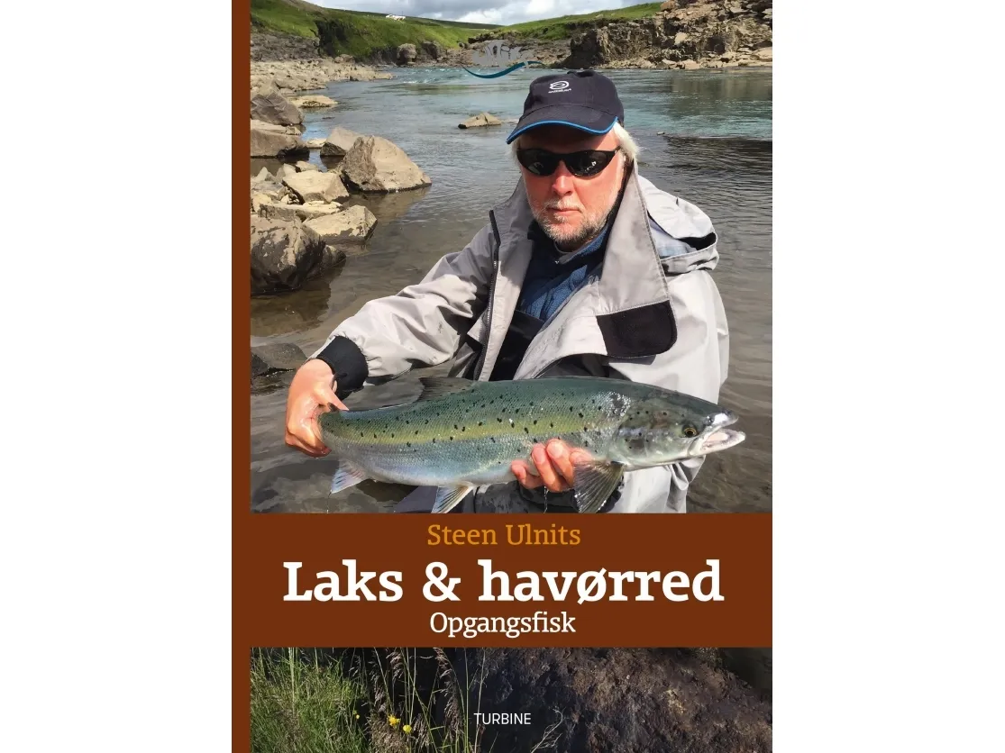 Laks og havørred - Opgangsfisk | Steen Ulnits