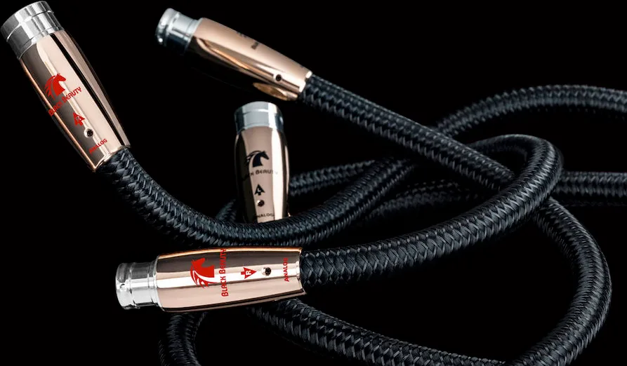 Audioquest Black Beauty XLR (2 x 1,5 m) Câbles symétriques XLR