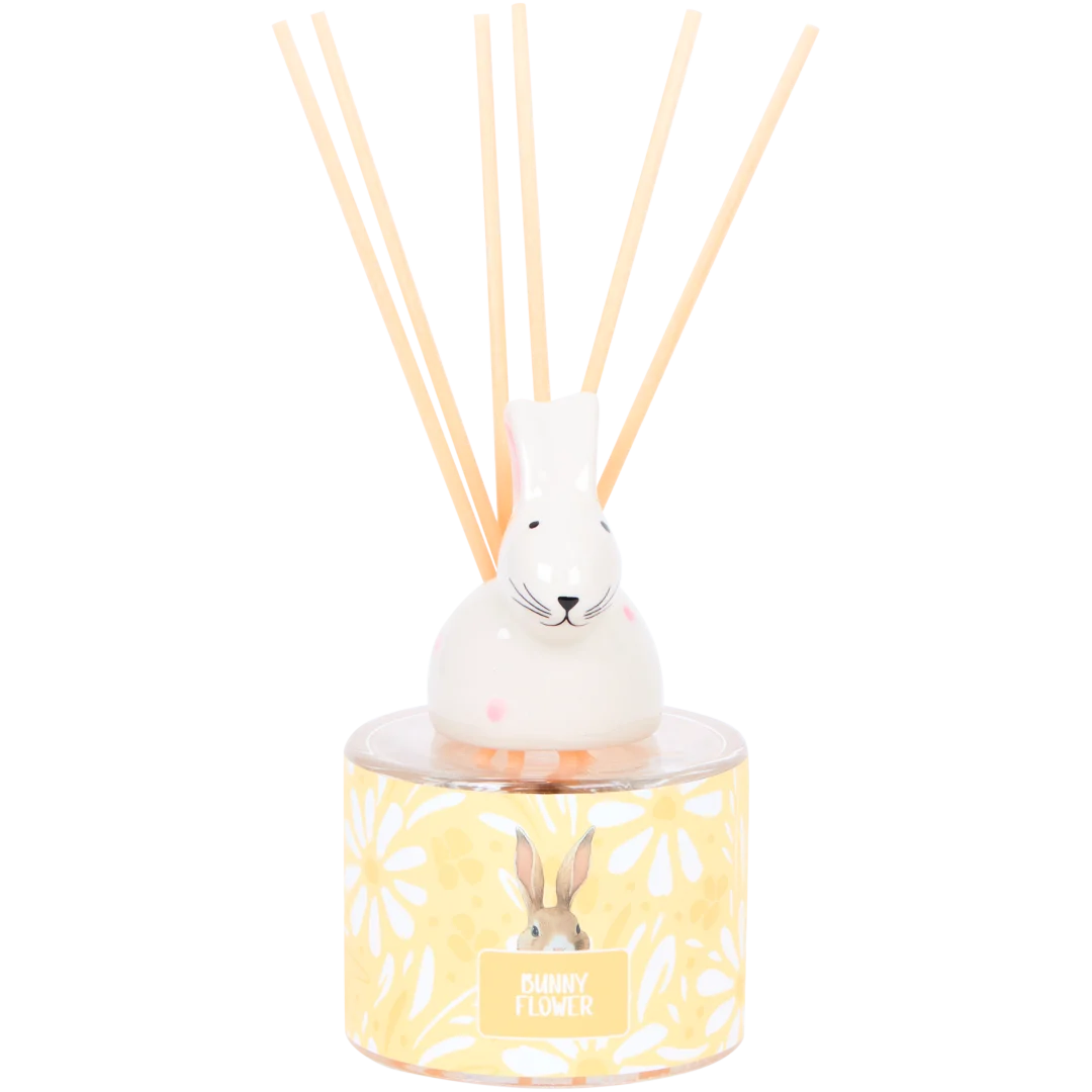 Diffuser 100 ml | diverse varianten