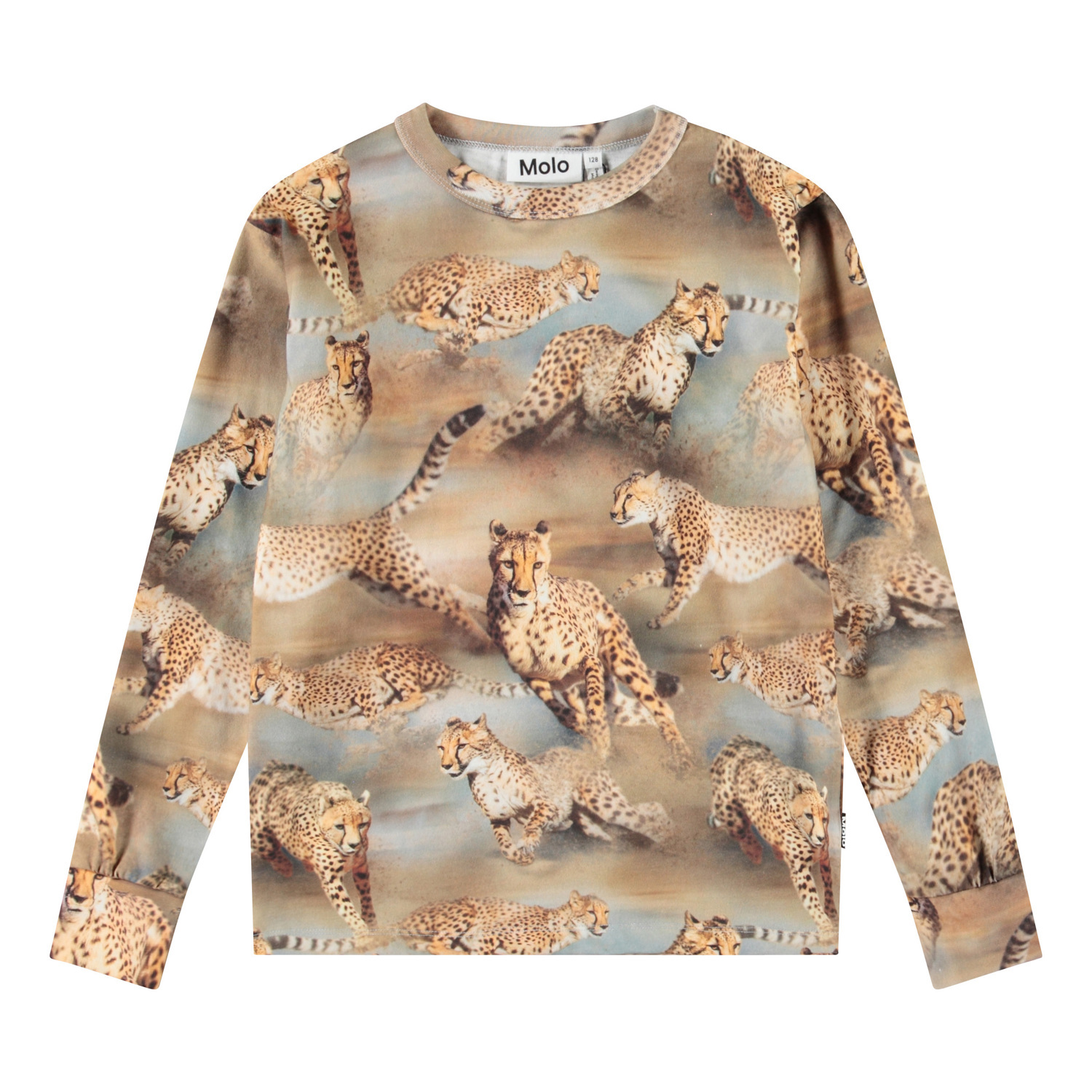 Rill - Fast Cheetahs