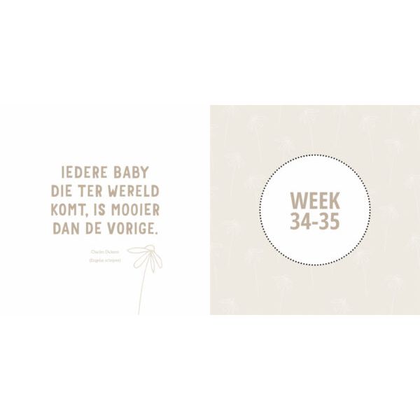 Lantaarn Mijn Negen Maanden Babyboek - Maak Een Unieke Herinnering