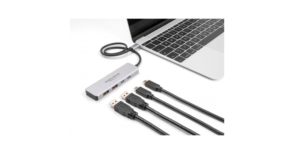 DeLOCKUSB 10 Gbps USB-C Hub usb-hub  (Grijs, 2x USB-A 3.2 (10 Gbit/s), 2x USB-C 3.2 (10 Gbit/s))
