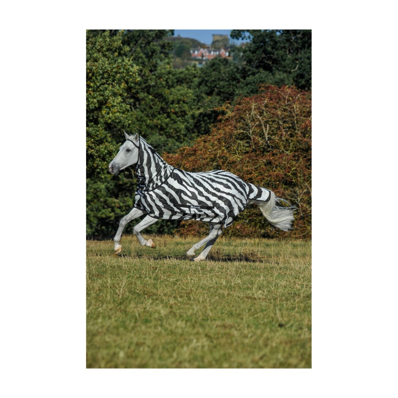 Bucas Fliegendecke Buzz-Off Zebra Full Neck 1,45 m
