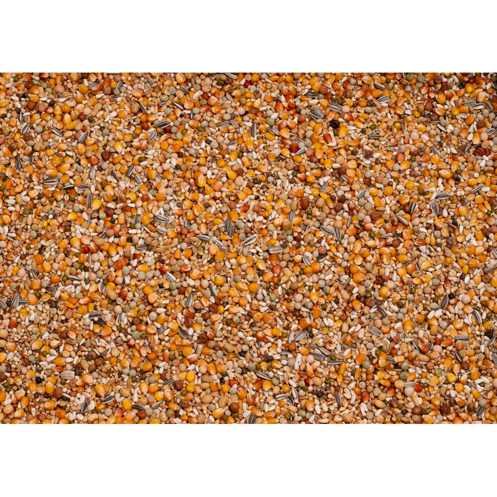 Beyers Premium Verkerk Sport20 kg