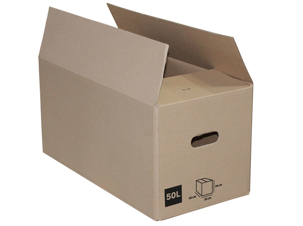 CAIXA CARTÃO PACK&MOVE 50L 55X305X30CM