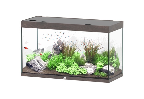 Aquatlantis Sublime 120x50 aquarium | Gloednieuw
