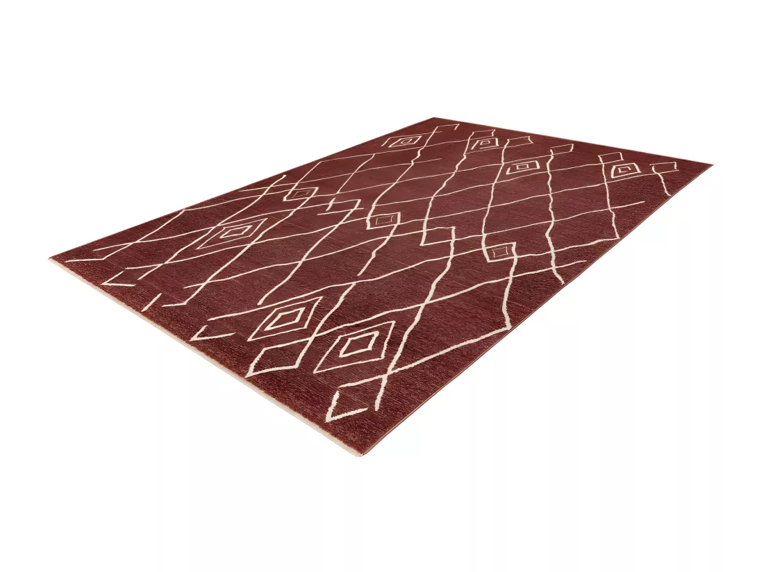 Tapis 150x80cm, design A205R coloris terracotta - Confort et élégance pour votre intérieur
