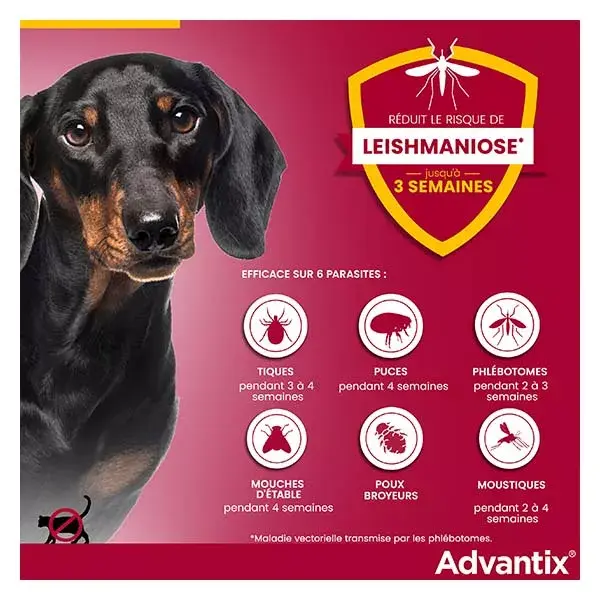 Solução Advantix para tratamento de pulgas e carrapatos em cães de raças muito pequenas (1,5-4 kg) - 6 pipetas