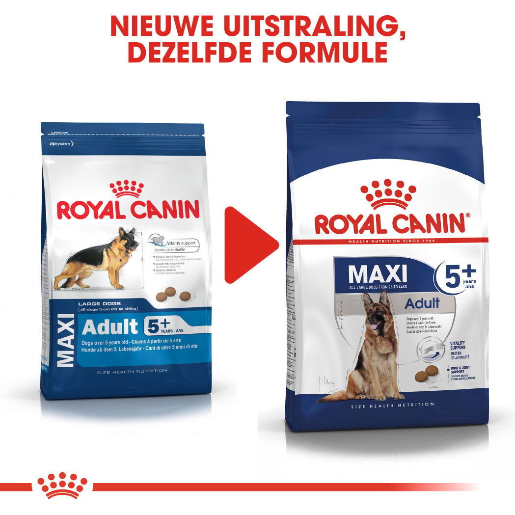 Royal Canin SHN Maxi Adult 5  - Hondenvoer - 15 Kilogram - gevogelte