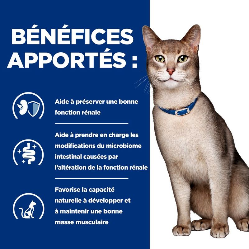 Hill's Prescription Diet Feline k/d Kidney Care à prix discount sur bitiba.fr