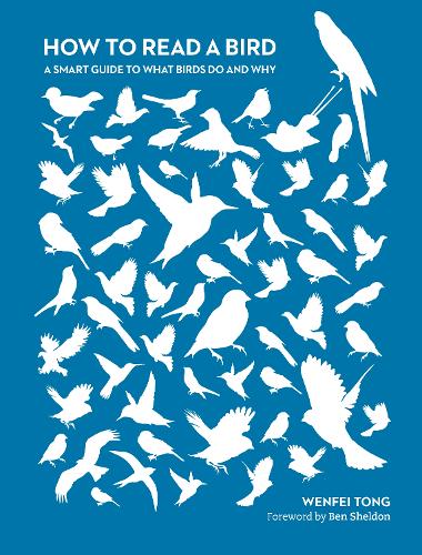 How to Read a Bird: A Smart Guide to What Birds Do and Why (Paperback)