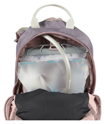 Sac d'Hydratation Dakine Session 8L   Poche à Eau 2L Violet / Rose