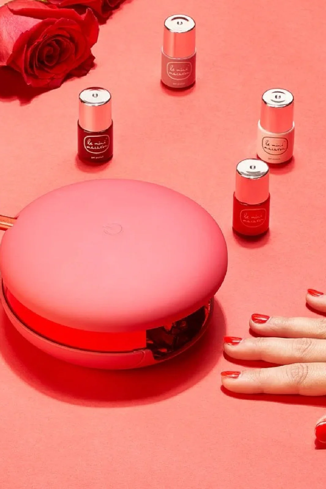 Le Mini Macaron Le Maxi La Vie En Bloom