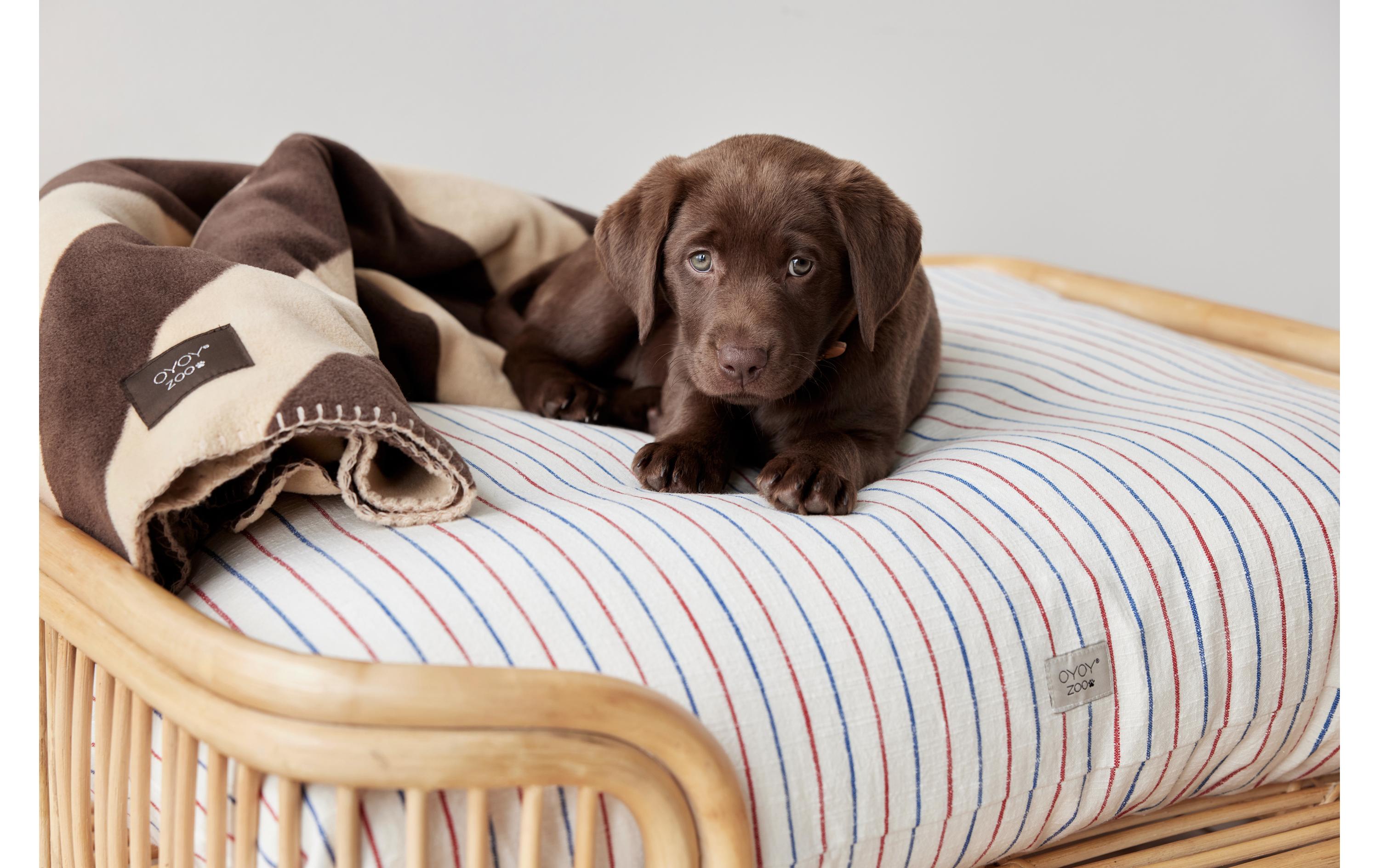 Hunde-Decke Kaya, L, ChokoDecke