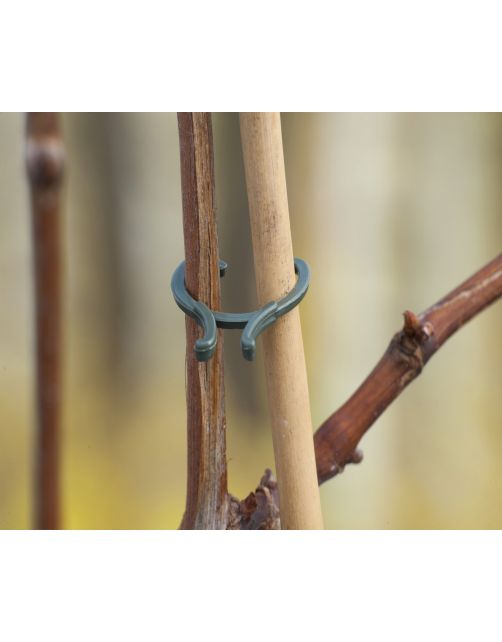 Nature Plantenringen - Klim-En Geleide Artikel - Groen 10 stuks