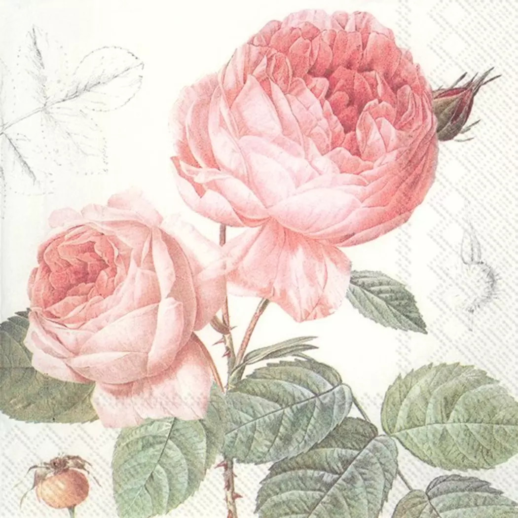 Serviette Elisabeth 20tlg.