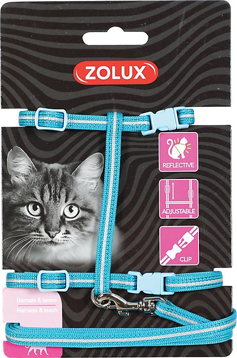 Kit sellerie pour chat bleu