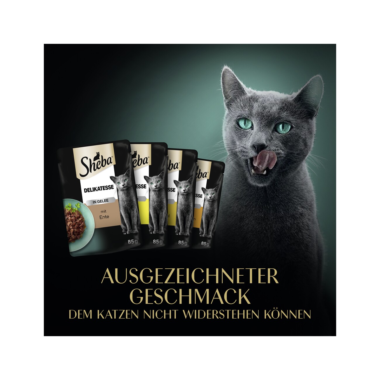 Sheba Delikatesse in Gelee 12x85g