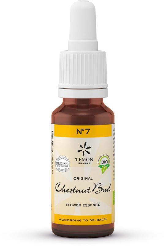 Bach Nr. 07 Chestnut bud 20ml