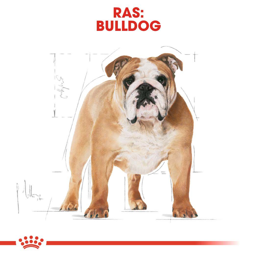 Royal Canin BHN Bulldog - Hondenvoer - 12 Kilogram - gevogelte