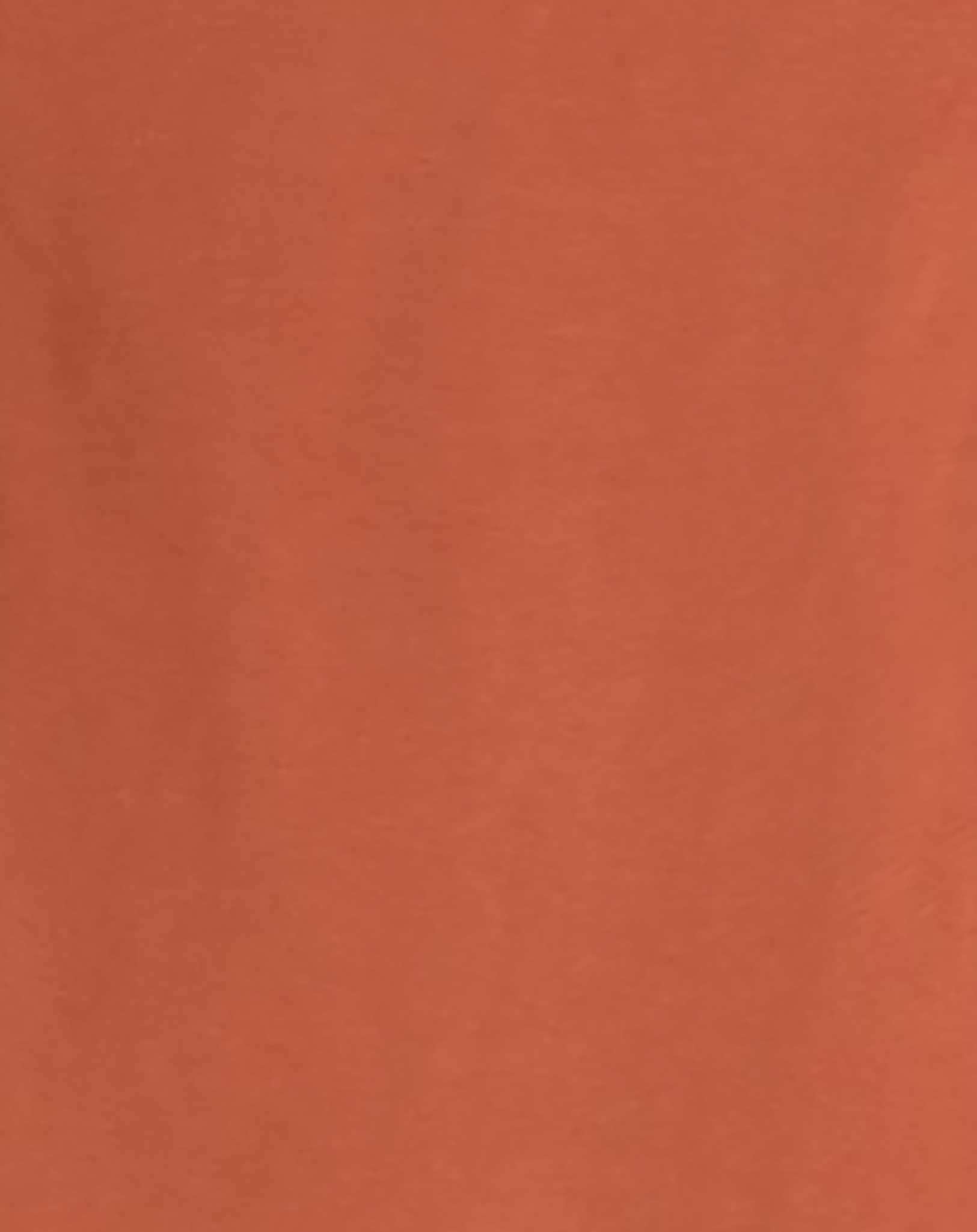 Langarmshirt NMMVUX BASKETBALL in baked clay
