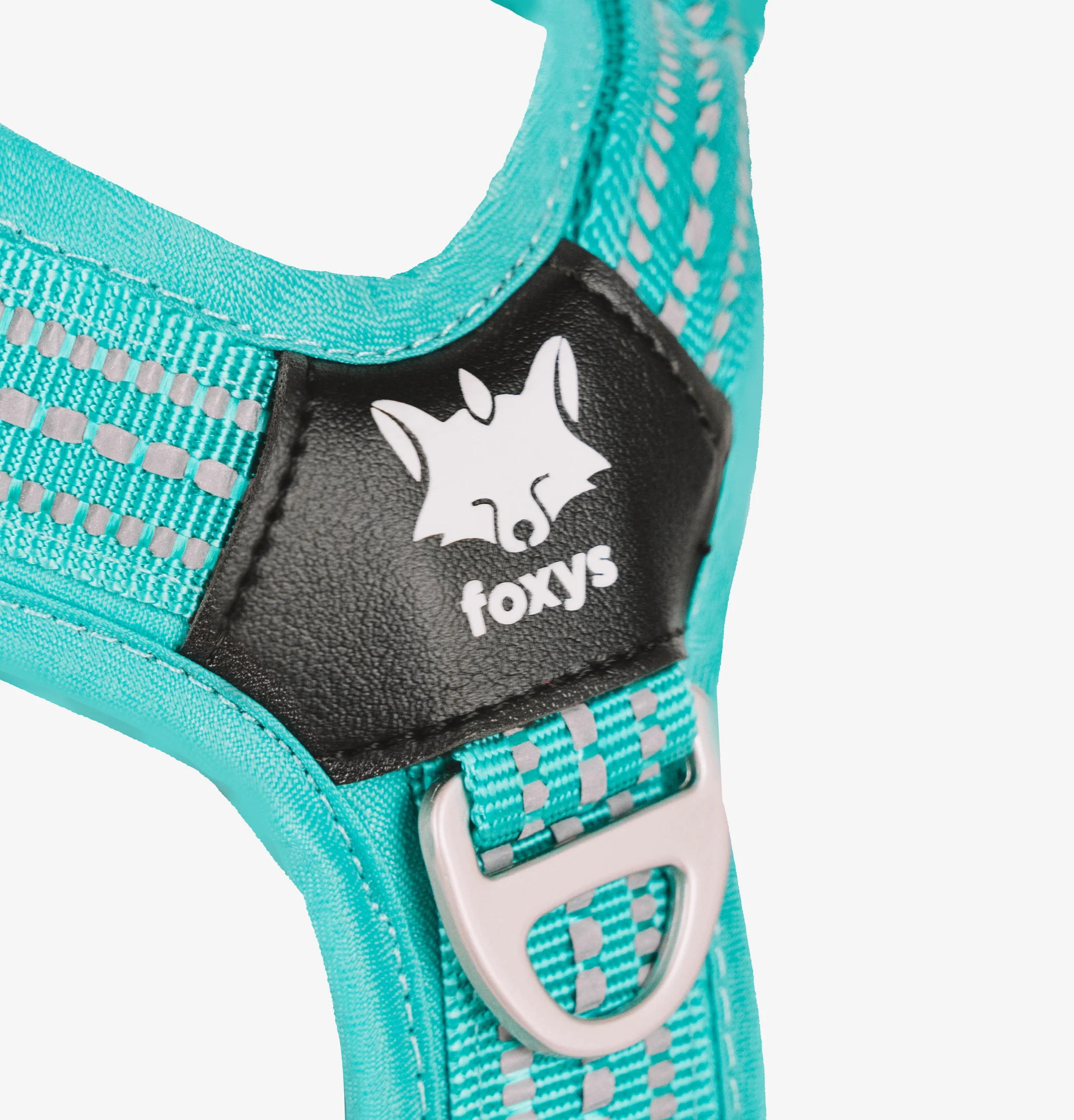 Coleira anti-puxão Foxys com fivelas de alumínio reforçadas, cor azul-turquesa