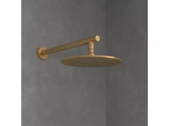 Douche de tête VILLEROY ET BOCH Universal ronde Or brossé