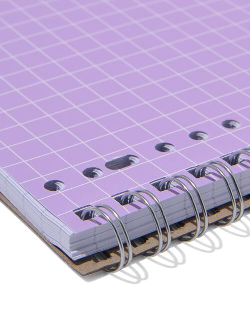 cahiers lilas A4 quadrillés 10 mm - lot de 3