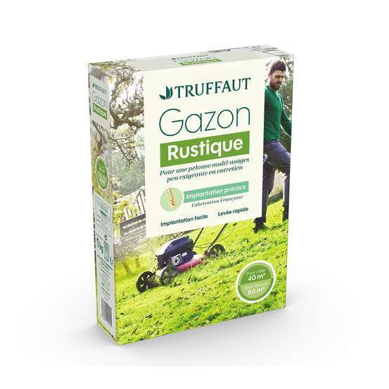 Gazon rustique 1 kg truffaut