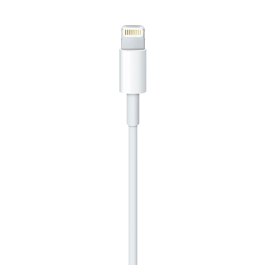 Apple Câble Lightning vers USB - 1 m (2024)