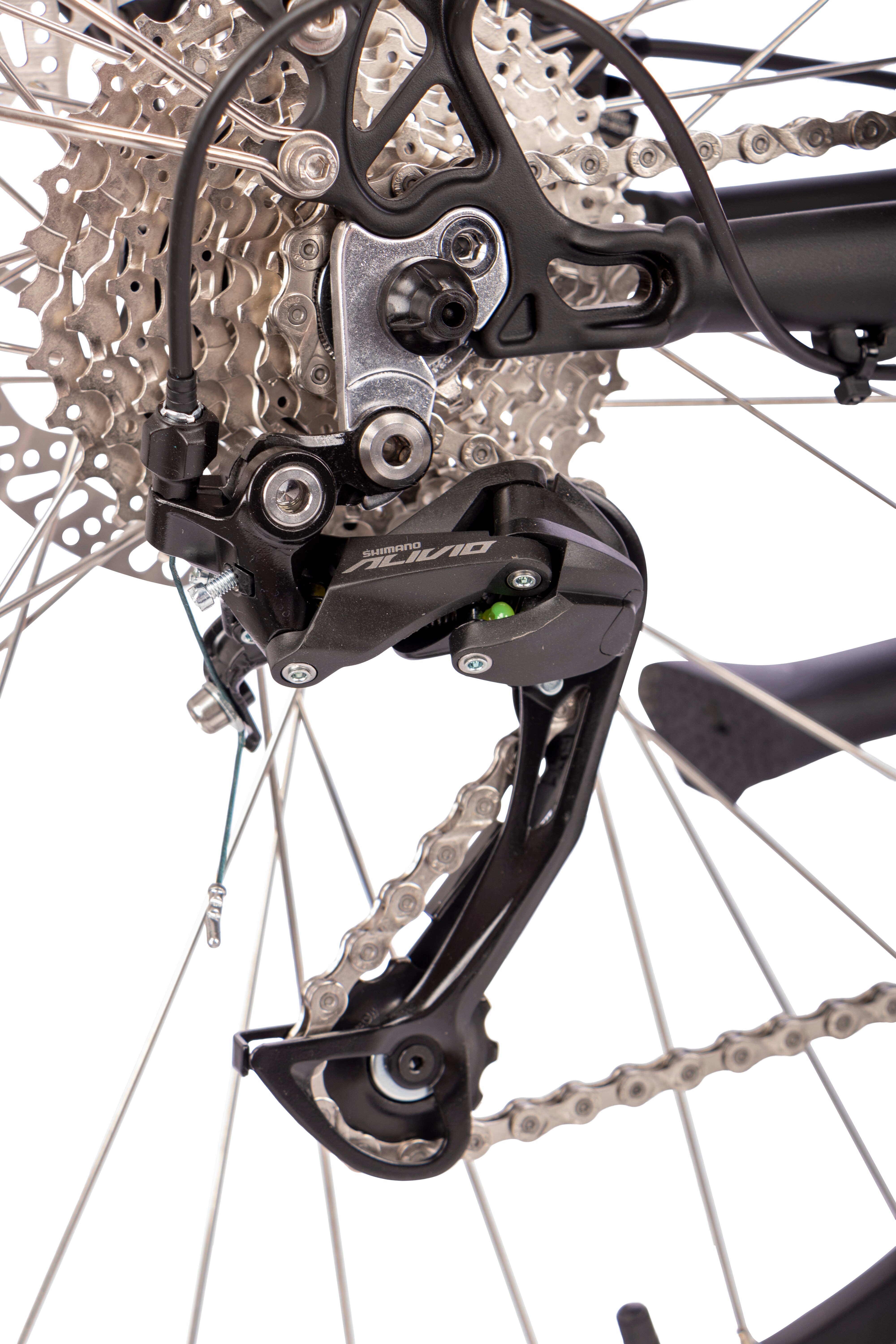SAXONETTE Deluxe Sport Lady Gang Trekking E-Bike Scheibenbremsen
