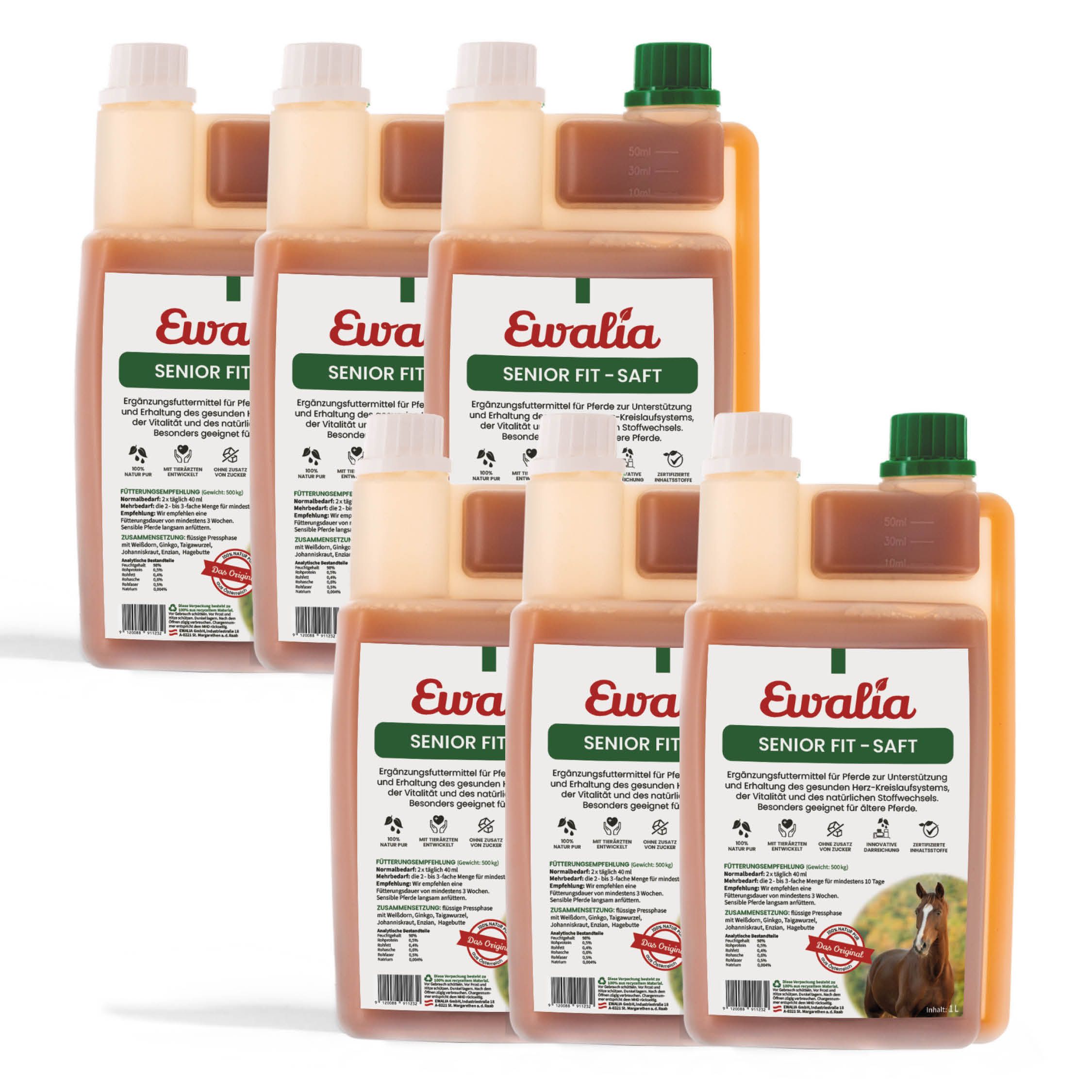 EWALIA Senior Fit Saft für Pferde Sechserpack