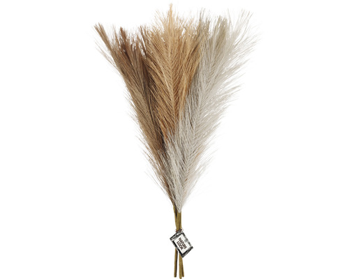 Pampasgras, lichtbeige/bruin/grijs, 3 stuks