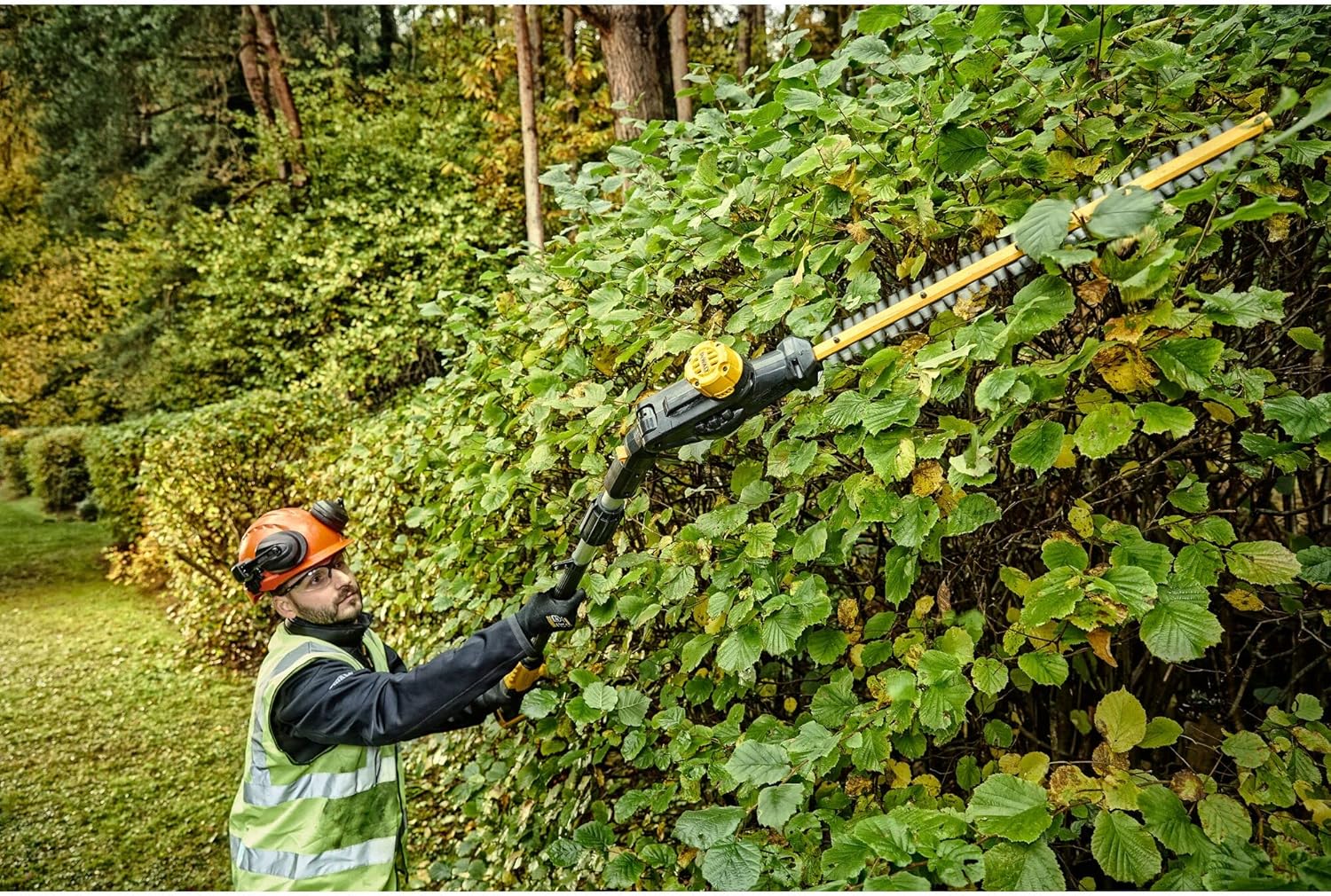 DEWALT - Tondeuse XR Brushless 18V 5Ah Li-Ion - DCMW564N-XJ - Tondeuse à Gazon sans Fil avec Sac de Ramassage de 55l - Largeur de Coupe 48cm - Tonte jusqu’à 800m2 - 36V