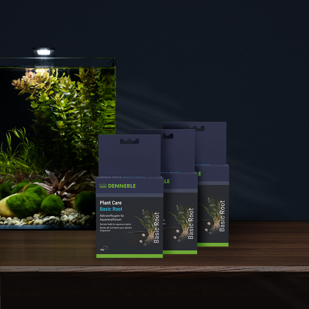 Dennerle Plant Care Basic Root 20st | Plantenvoeding