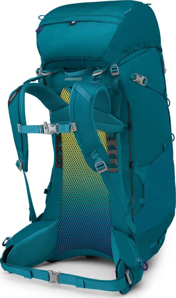 Ace 65 Blue Spikemoss/Deep Peyto