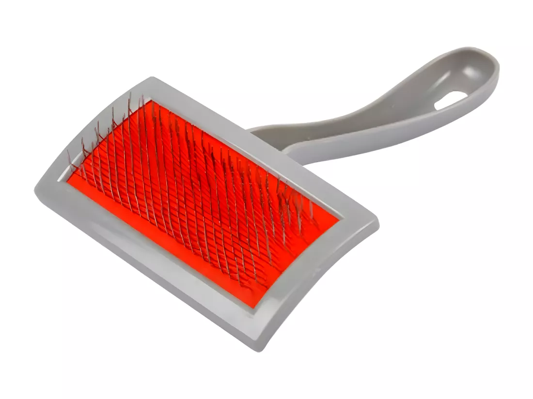 Brosse de Toilettage 