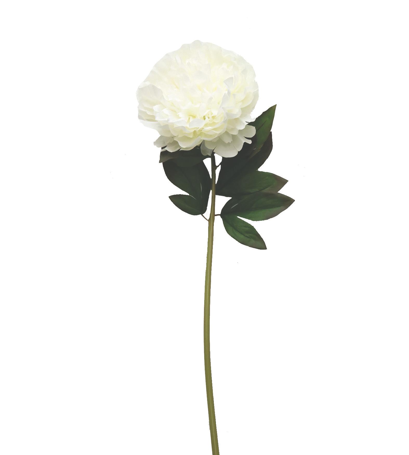 BRANCHE PIVOINE H.70CM BLANC