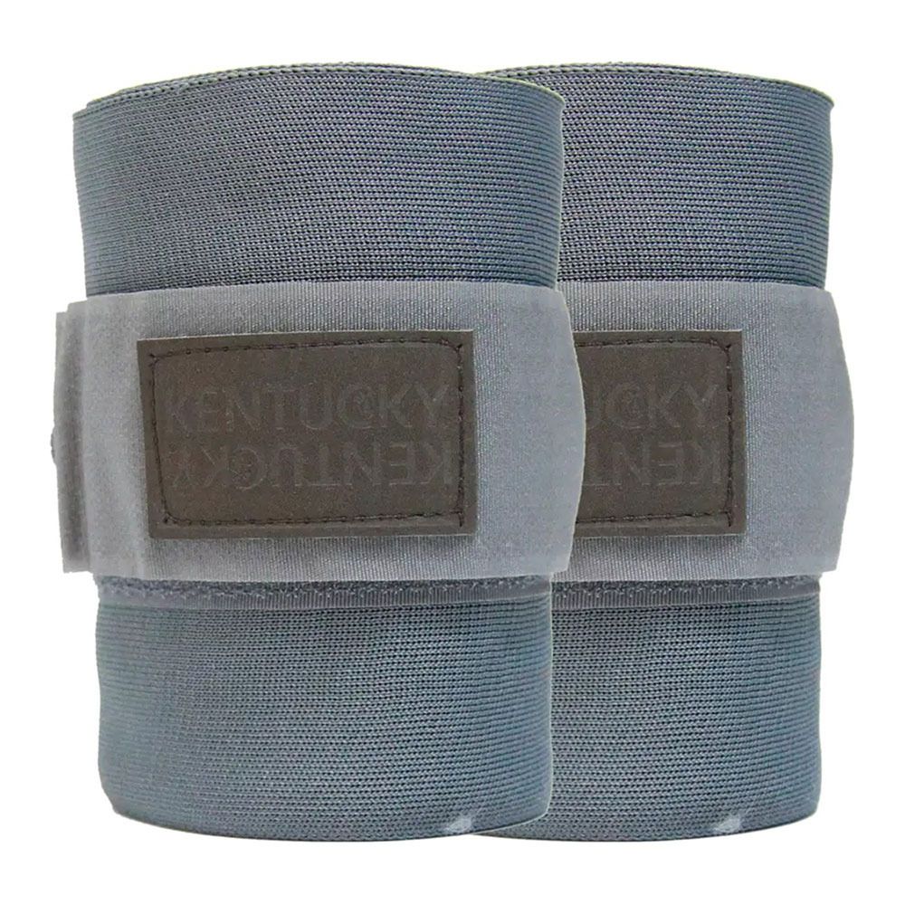 Kentucky REPELLENT - Bandes de travail x2 gris