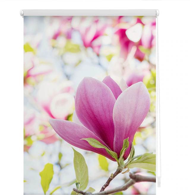 LICHTBLICK ORIGINAL Seitenzugrollo »Klemmfix Motiv Magnolie« Lichtschutz ohne Bohren freihängend bedruckt