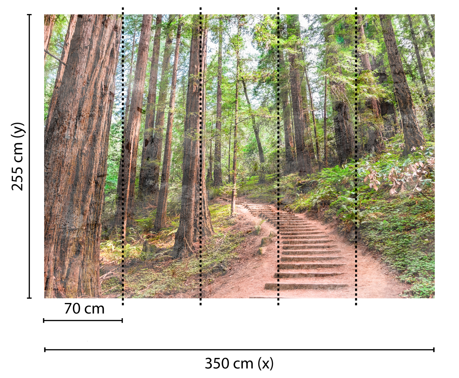 Fototapete DESIGNWALLS - braun-grün - Wald - 2,55 Meter
