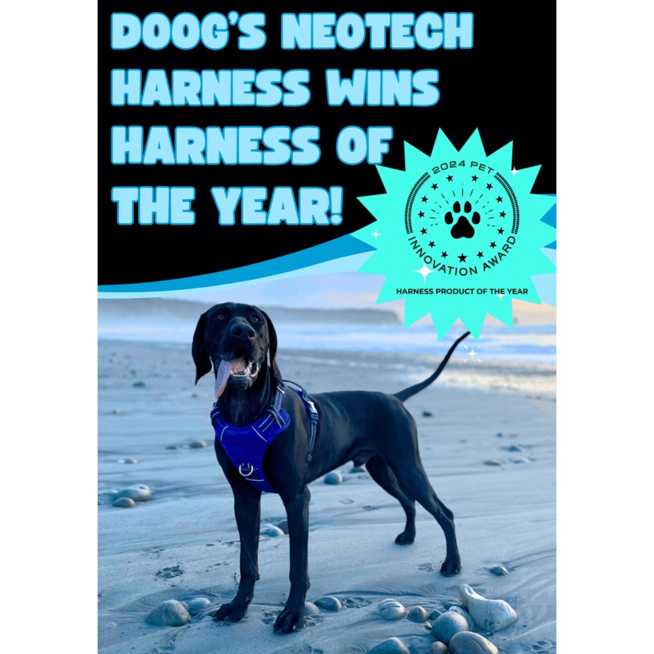 DOOG Neotech Harness GREEN S
