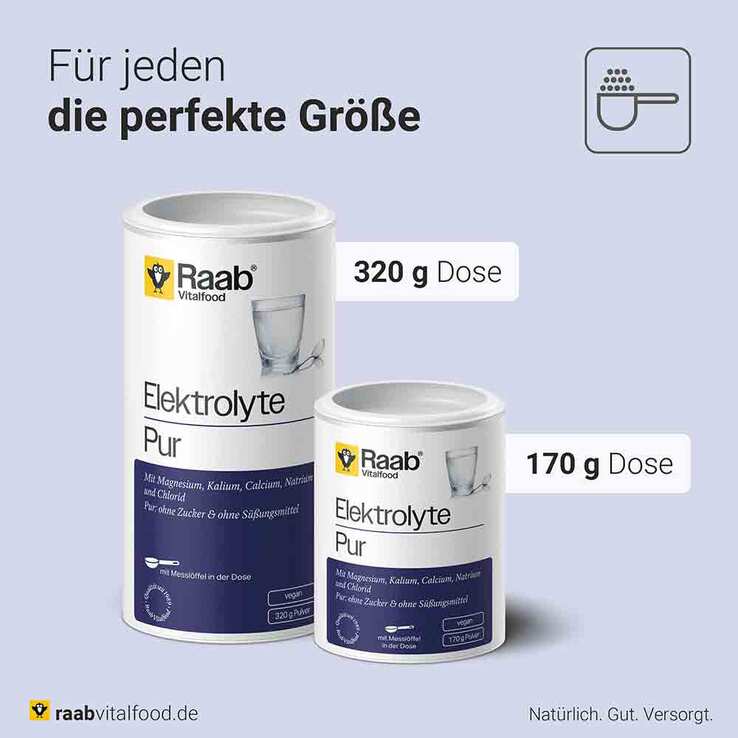 Raab Vitalfood Elektrolyte pur Pulver, 320 g