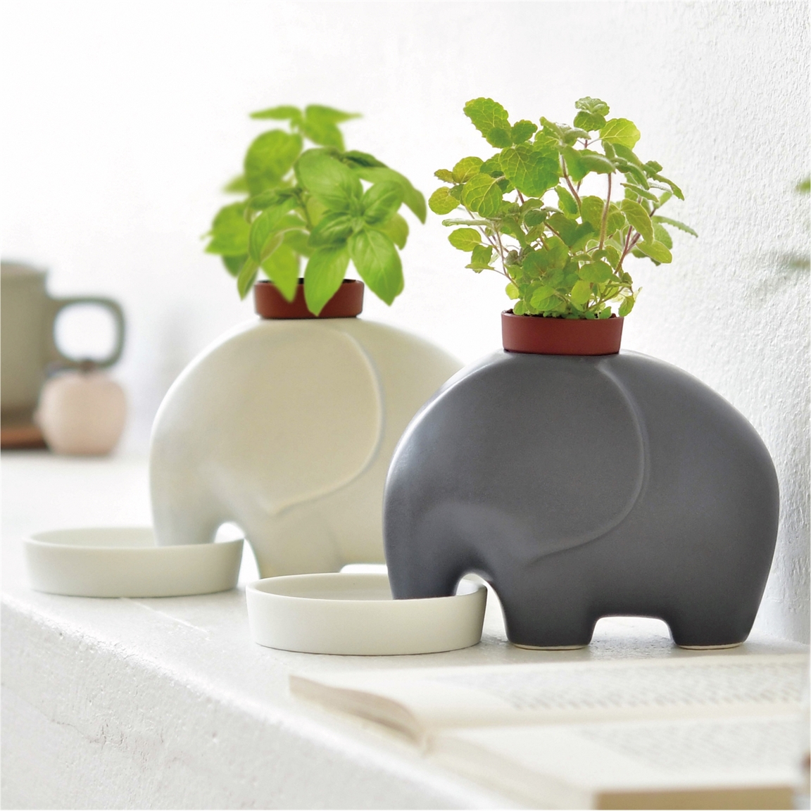 Pot éléphant à réserve d'eau gris ou blanc