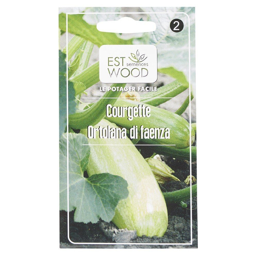 Semence courgette ortholane