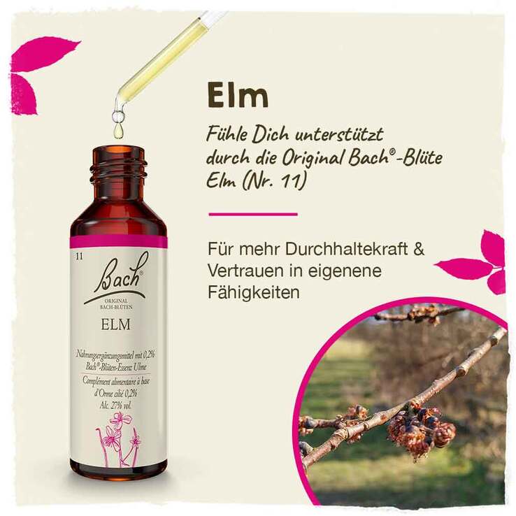 Bachblüten Nr. 11 Elm Tropfen, 20 ml